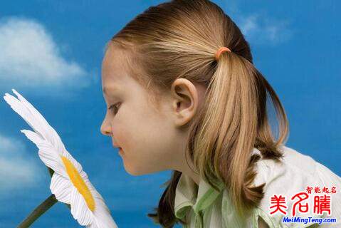 屬狗陳姓寶寶起名，女寶寶起名大全
