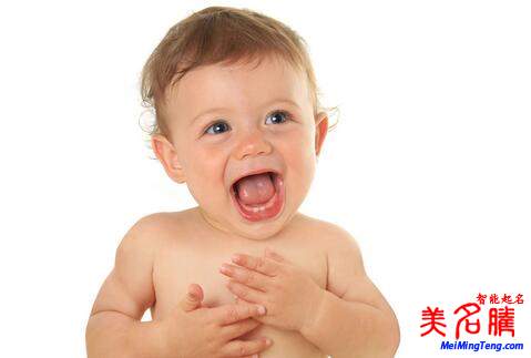楊姓起名，楊姓屬狗男寶寶起名大全