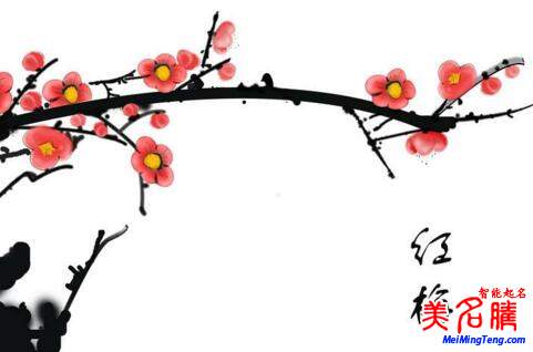 2018梅姓寶寶最詩(shī)意、最不凡的名字大全
