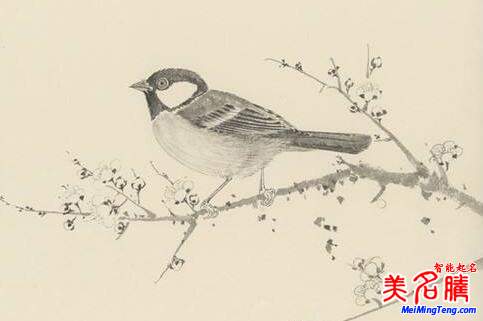 2018梅姓寶寶最詩(shī)意、最不凡的名字大全